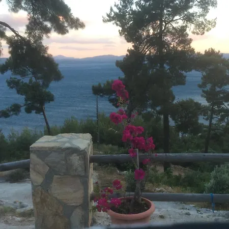 Teras Tepe Apart Otel *